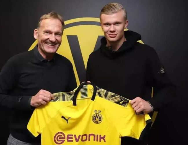 宁失野区一 宁失野区一