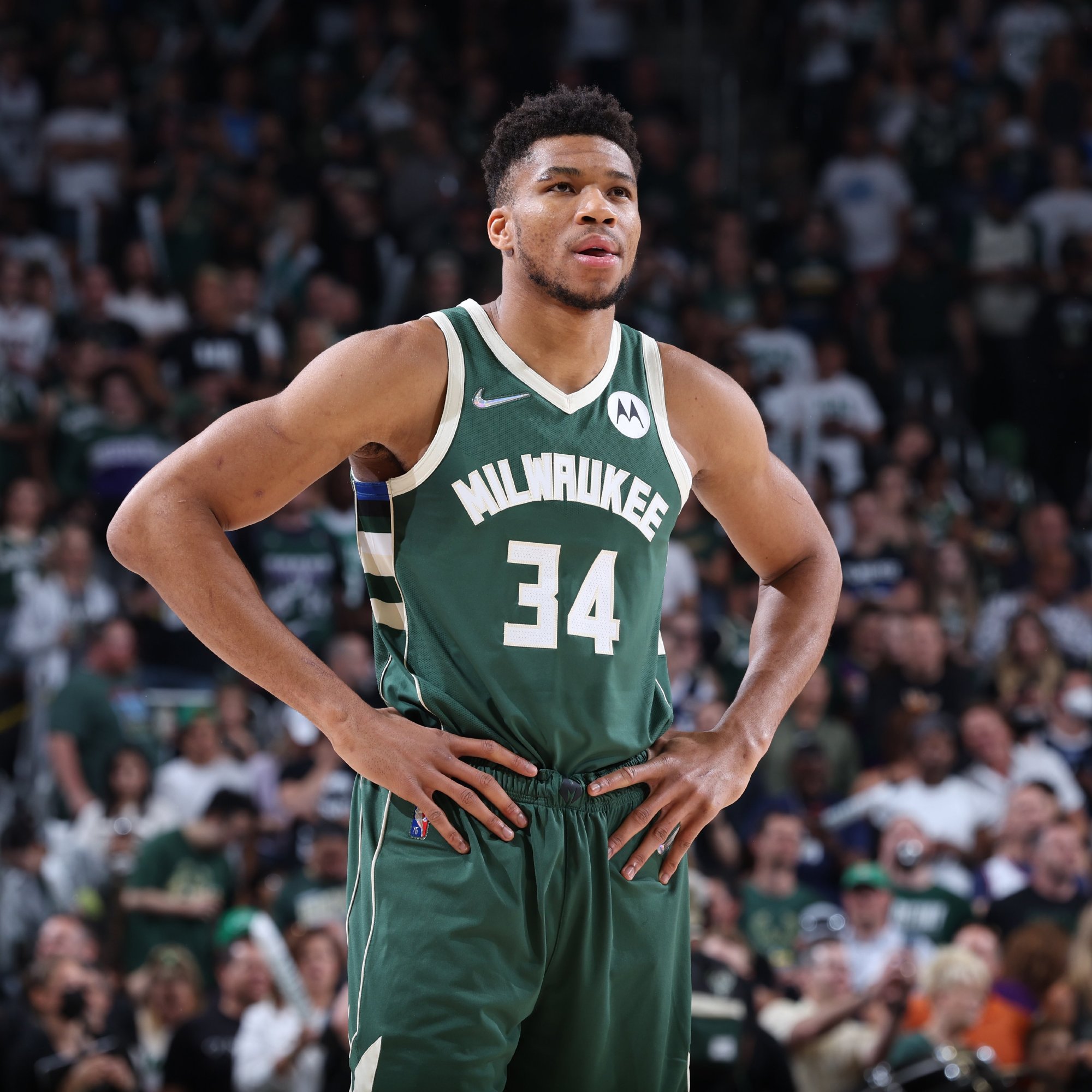 候选名单释 候选名单释